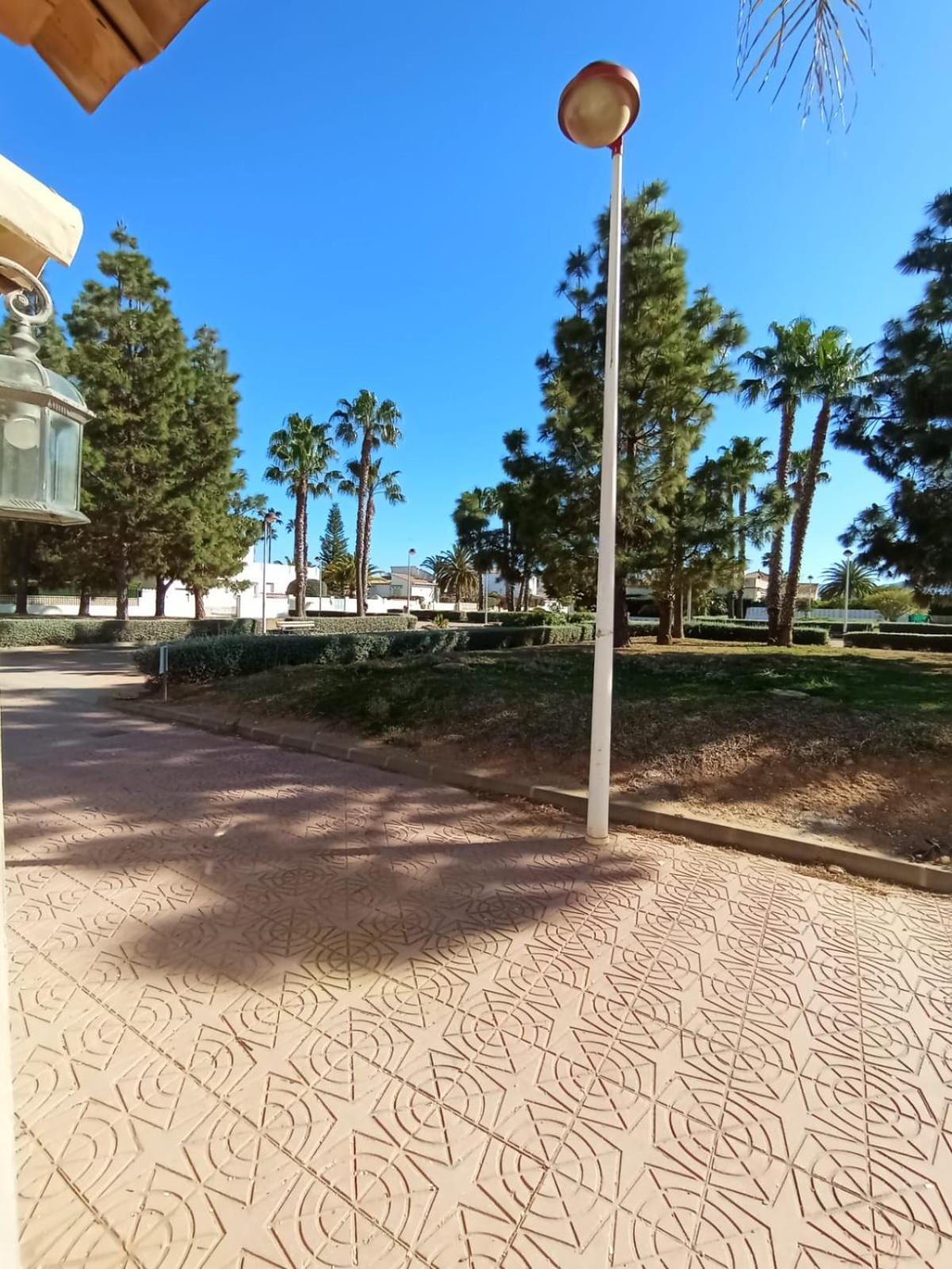 Mediterranea Playa
